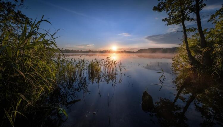 سری هفتاد و هشتم والپیپر برای دسکتاپ   Beautiful Wallpapers