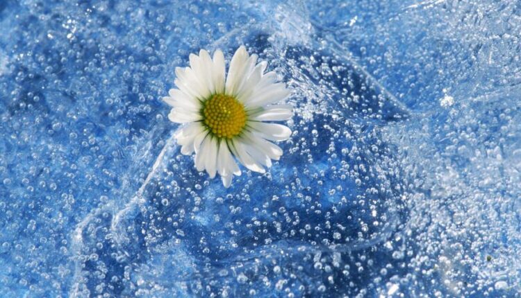 سری هفتاد و هشتم والپیپر برای دسکتاپ   Beautiful Wallpapers