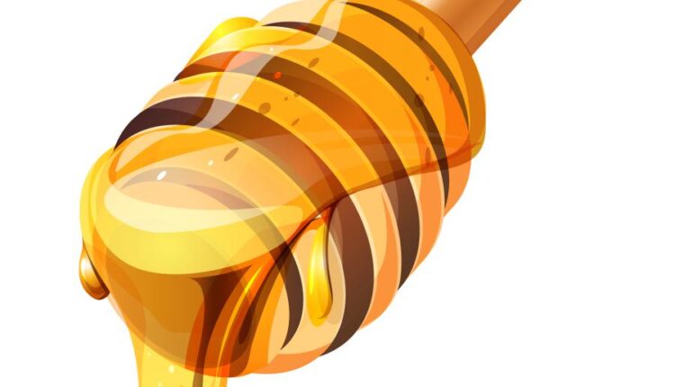 16 وکتور سه بعدی عسل و زنبور عسل   Bee & Honey Vector