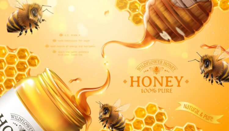 16 وکتور سه بعدی عسل و زنبور عسل   Bee & Honey Vector