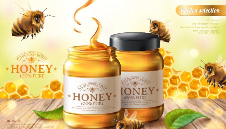 16 وکتور سه بعدی عسل و زنبور عسل   Bee & Honey Vector