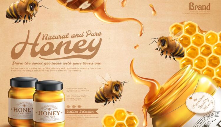 16 وکتور سه بعدی عسل و زنبور عسل   Bee & Honey Vector