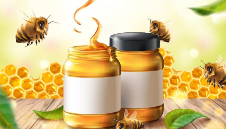 16 وکتور سه بعدی عسل و زنبور عسل   Bee & Honey Vector