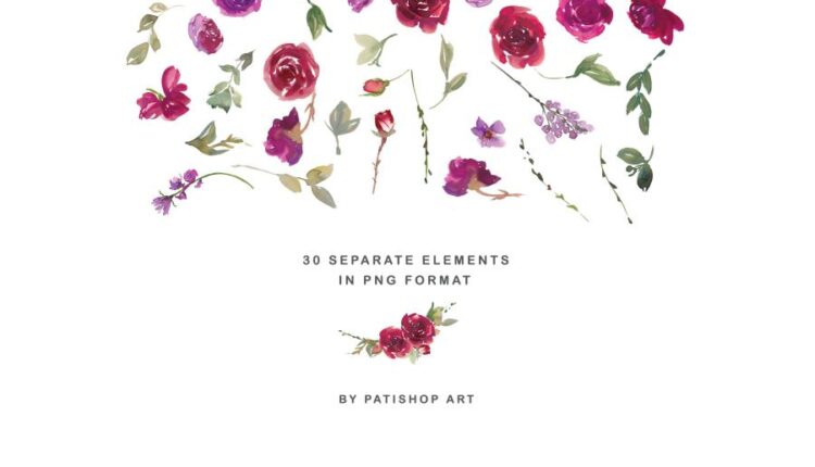 عکس png گل های رُز آبرنگی   Red Watercolor Rose