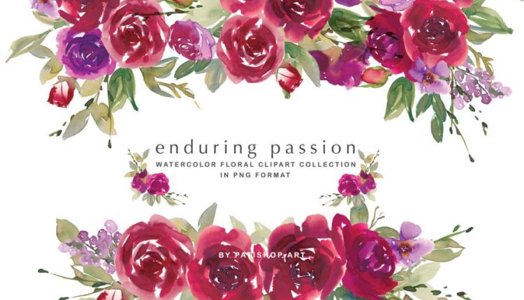 عکس png گل های رُز آبرنگی   Red Watercolor Rose