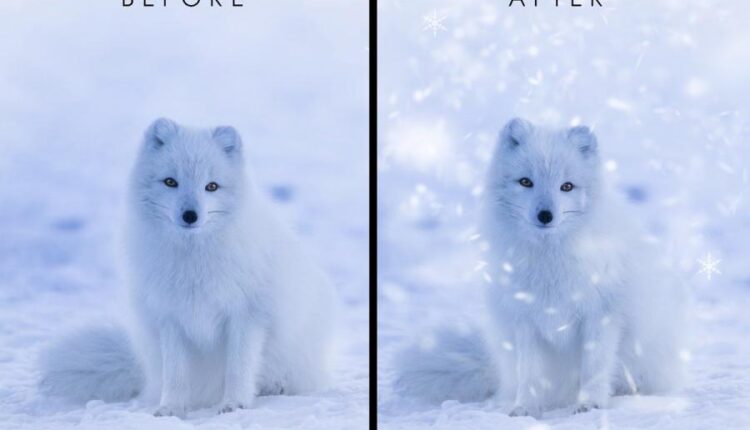 براش برف برای فتوشاپ   Realistic Snow Brushes