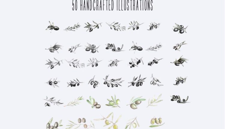 تصویرسازی های دستی و خطی زیتون   Shades of Olive