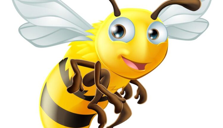 16 وکتور سه بعدی عسل و زنبور عسل   Bee & Honey Vector