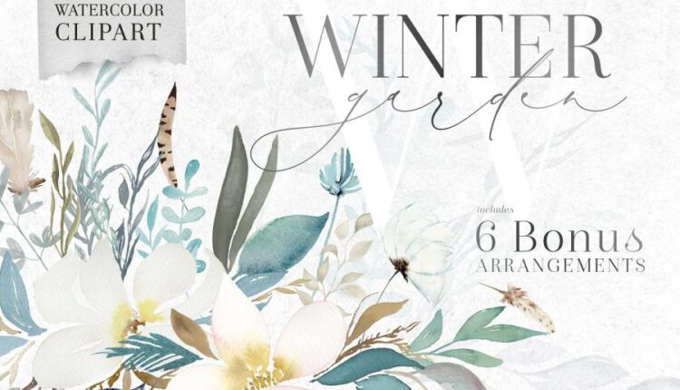 تصاویر PNG گل ها و گیاهان آبرنگی زمستانی   Watercolor Clipart