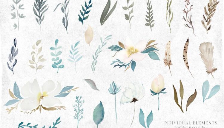 تصاویر PNG گل ها و گیاهان آبرنگی زمستانی   Watercolor Clipart