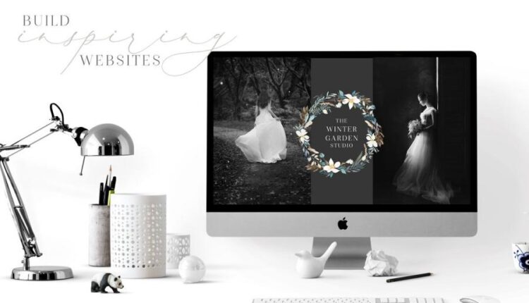 تصاویر PNG گل ها و گیاهان آبرنگی زمستانی   Watercolor Clipart