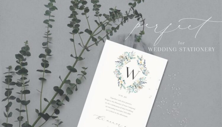 تصاویر PNG گل ها و گیاهان آبرنگی زمستانی   Watercolor Clipart