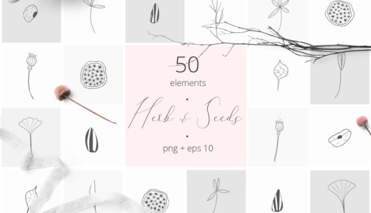 المان خطی گل و گیاهان   Herb & Seeds Vector