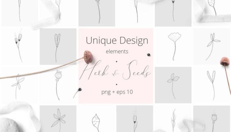 المان خطی گل و گیاهان   Herb & Seeds Vector