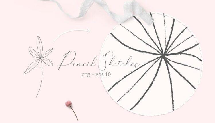 المان خطی گل و گیاهان   Herb & Seeds Vector