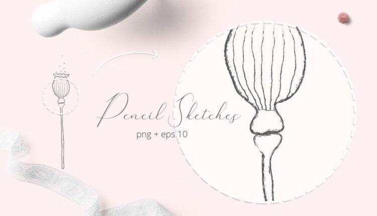 المان خطی گل و گیاهان   Herb & Seeds Vector