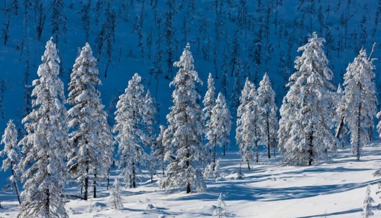 سری هشتاد و ششم تصویر زمینه زمستان   Beautiful Wallpapers