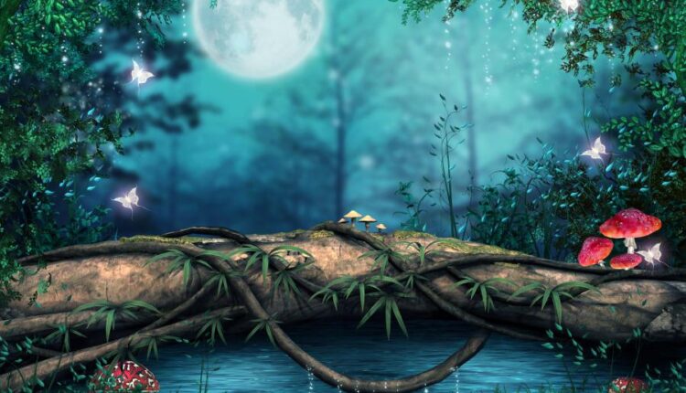 سری هشتاد و سوم والپیپر برای موبایل   Beautiful Wallpapers