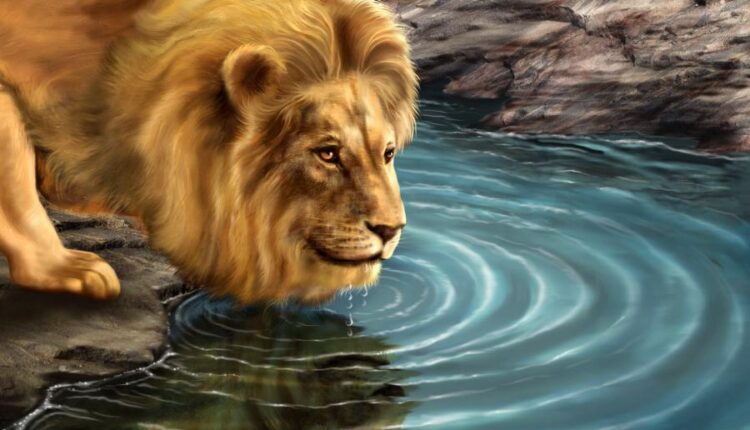 سری نود و یکم تصویر زمینه برای پروفایل   Beautiful Wallpapers