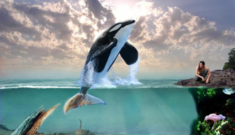 سری هشتاد و چهارم تصویر زمینه برای موبایل   Beautiful Wallpapers