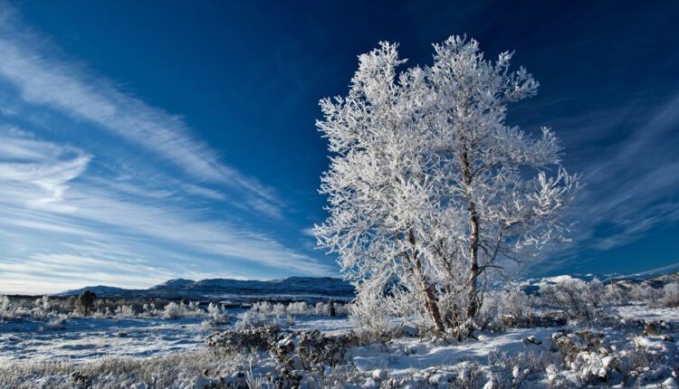 سری هشتاد و پنجم عکس زمینه زمستان   Beautiful Wallpapers