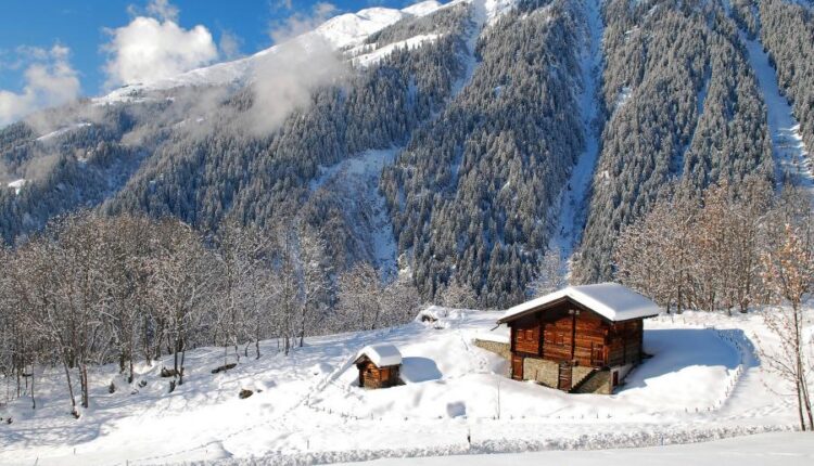 سری هشتاد و ششم تصویر زمینه زمستان   Beautiful Wallpapers