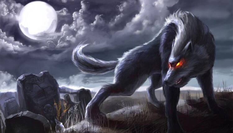 سری هشتاد و سوم والپیپر برای موبایل   Beautiful Wallpapers