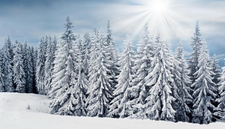 سری هشتاد و هشتم والپیپر زمستان   Beautiful Wallpapers