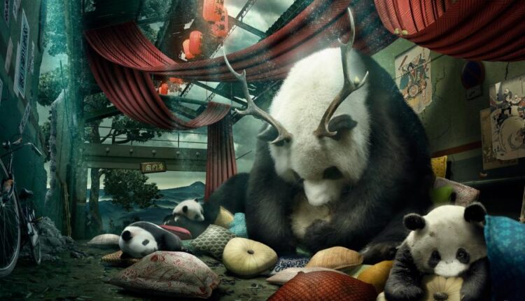 سری هشتاد و نهم عکس زمینه برای موبایل   Beautiful Wallpapers