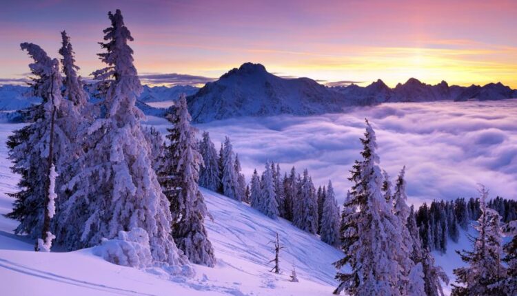 سری هشتاد و هشتم والپیپر زمستان   Beautiful Wallpapers