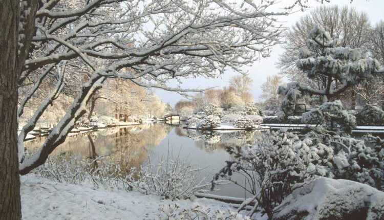 سری هشتاد و پنجم عکس زمینه زمستان   Beautiful Wallpapers