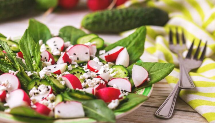 20 عکس استوک سالاد و سبزیجات   Photos Salads