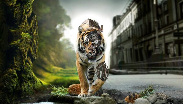 سری نود و دوم بک گراند برای پروفایل   Beautiful Wallpapers