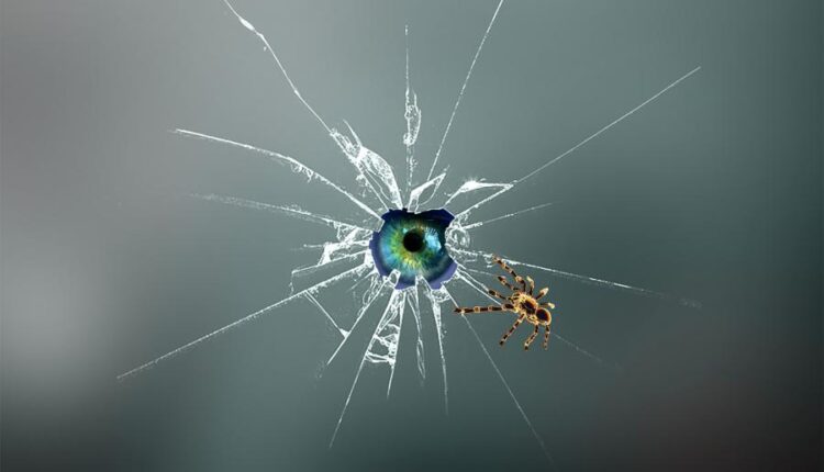 سری هشتاد و چهارم تصویر زمینه برای موبایل   Beautiful Wallpapers