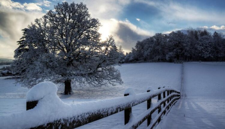 سری هشتاد و ششم تصویر زمینه زمستان   Beautiful Wallpapers