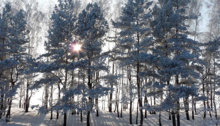 سری هشتاد و پنجم عکس زمینه زمستان   Beautiful Wallpapers