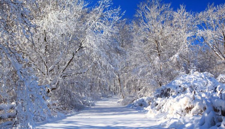 سری هشتاد و ششم تصویر زمینه زمستان   Beautiful Wallpapers