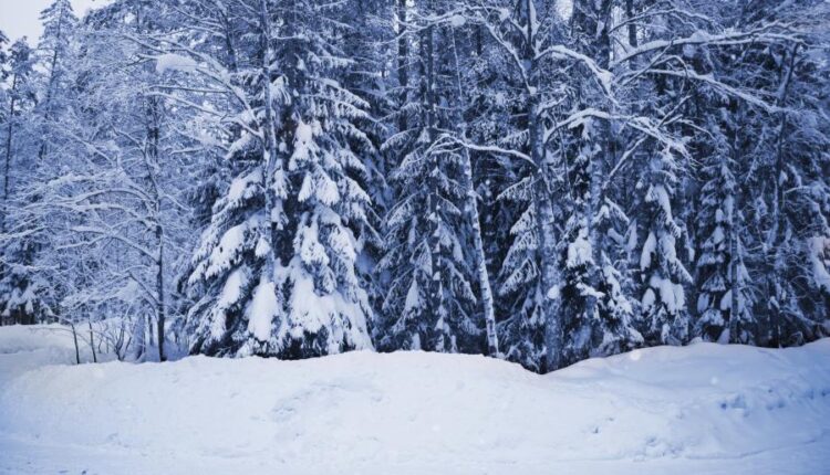 سری هشتاد و ششم تصویر زمینه زمستان   Beautiful Wallpapers