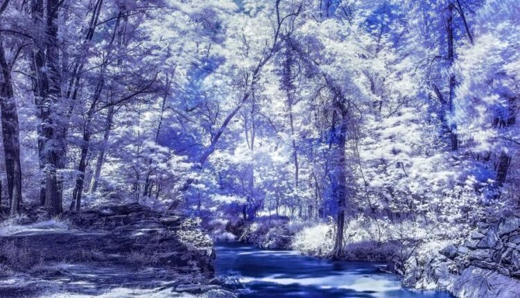 سری هشتاد و نهم عکس زمینه برای موبایل   Beautiful Wallpapers