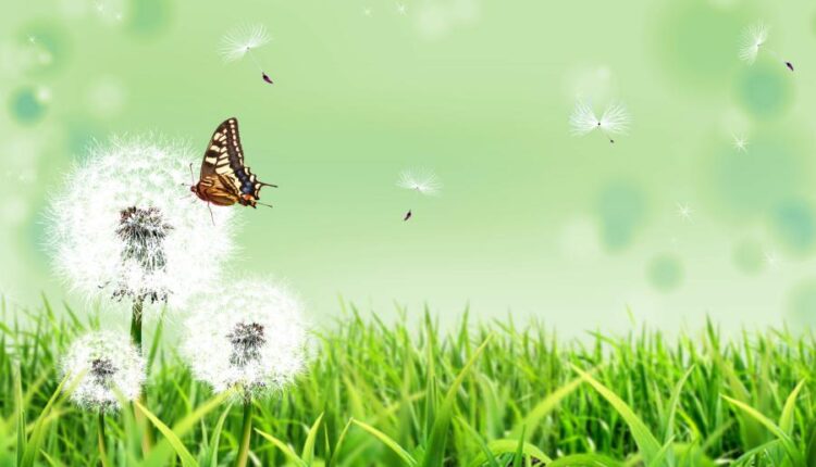 سری نود و یکم تصویر زمینه برای پروفایل   Beautiful Wallpapers