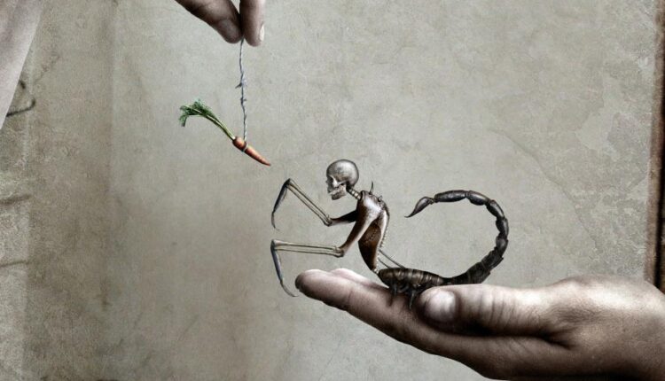 سری هشتاد و سوم والپیپر برای موبایل   Beautiful Wallpapers