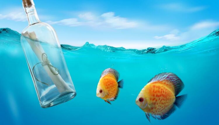 سری نود و دوم بک گراند برای پروفایل   Beautiful Wallpapers