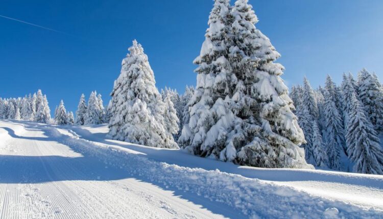 سری هشتاد و پنجم عکس زمینه زمستان   Beautiful Wallpapers