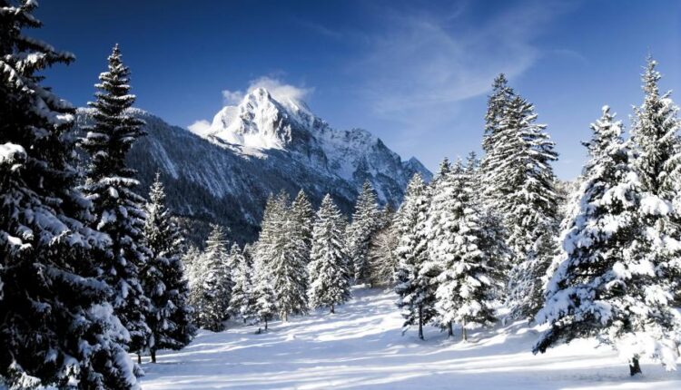 سری هشتاد و هشتم والپیپر زمستان   Beautiful Wallpapers