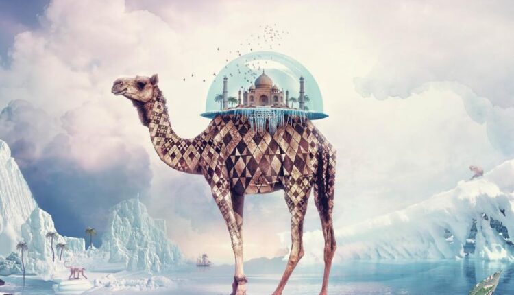 سری هشتاد و هفتم بک گراند برای موبایل   Beautiful Wallpapers