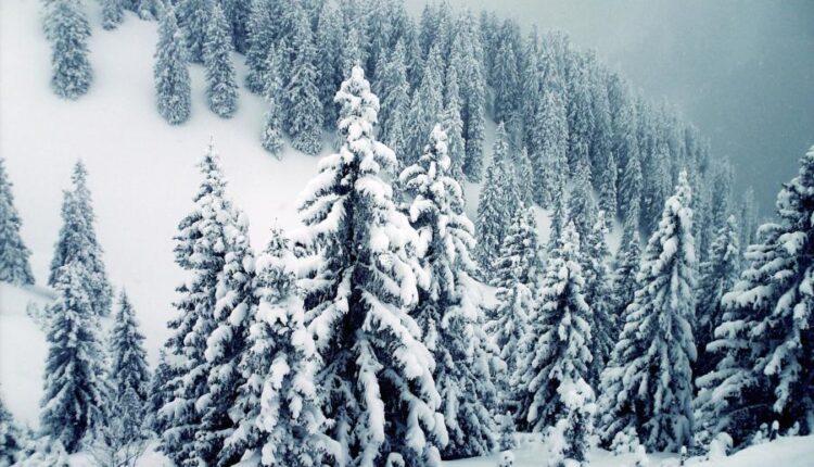 سری هشتاد و ششم تصویر زمینه زمستان   Beautiful Wallpapers