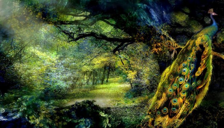 سری هشتاد و هفتم بک گراند برای موبایل   Beautiful Wallpapers