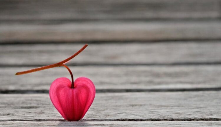 سری هشتاد و چهارم تصویر زمینه برای موبایل   Beautiful Wallpapers