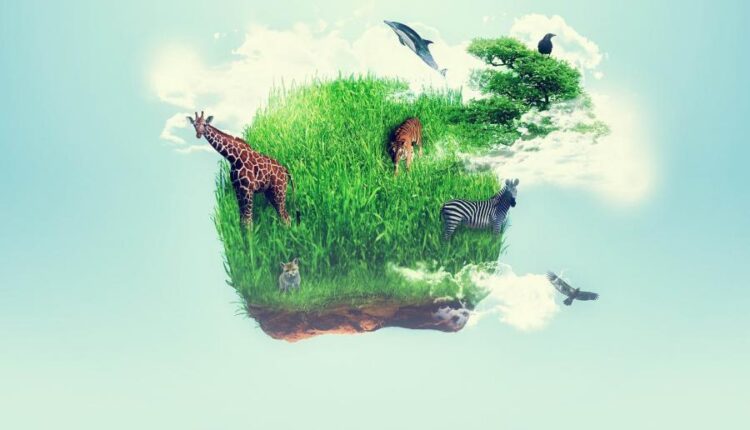 سری هشتاد و هفتم بک گراند برای موبایل   Beautiful Wallpapers