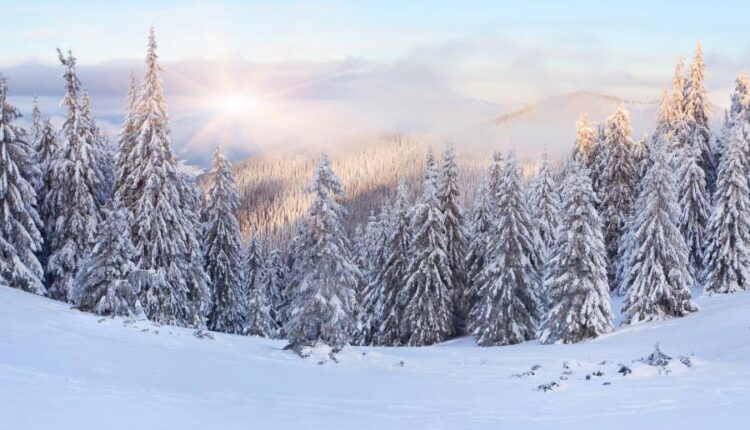 سری هشتاد و ششم تصویر زمینه زمستان   Beautiful Wallpapers